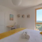 Confort Et Tranquillite A Apartamento